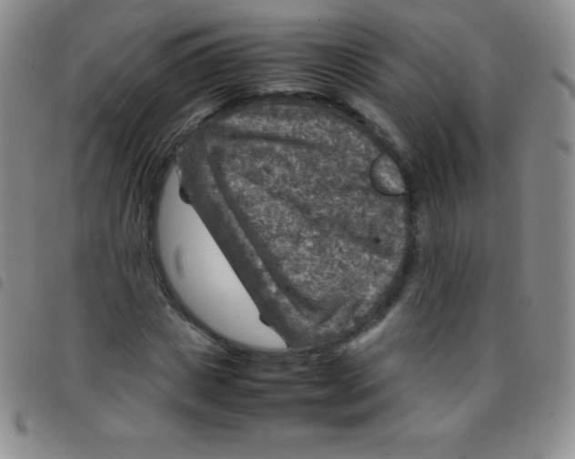 X0000097480825200803141933