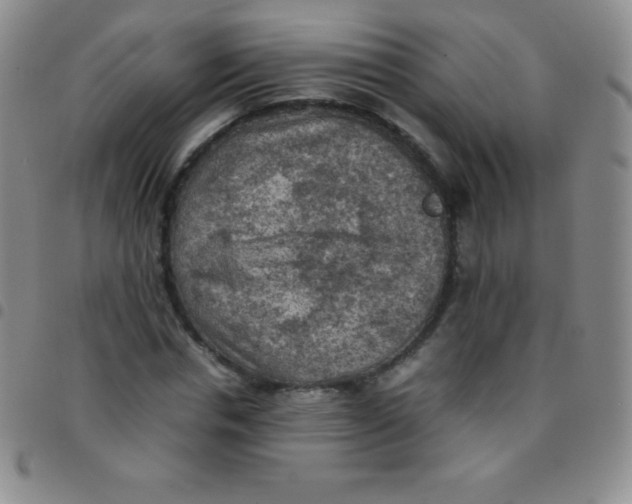 X0000097480826200803141933