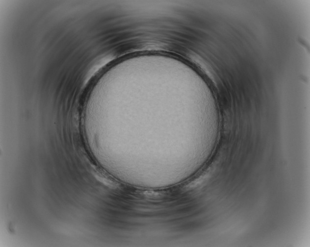 X0000097480827200803141933