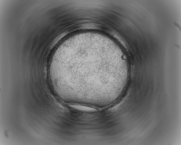 X0000097480829200803141933