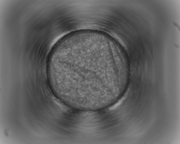 X0000097480830200803141933