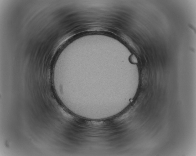 X0000097480831200803141933