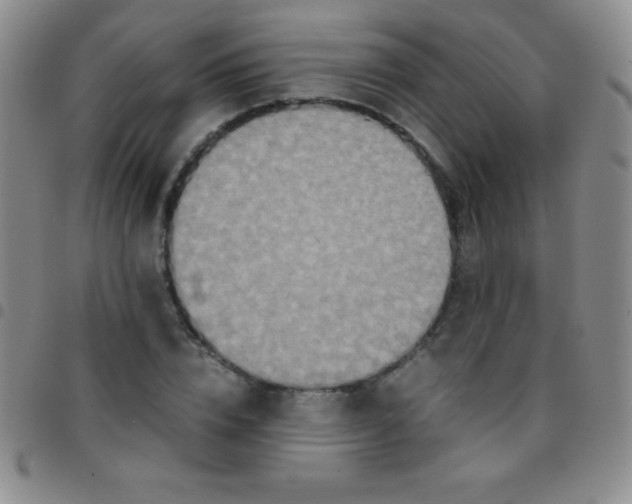 X0000097480832200803141933