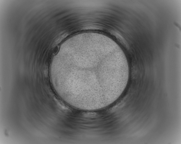 X0000097480833200803141933