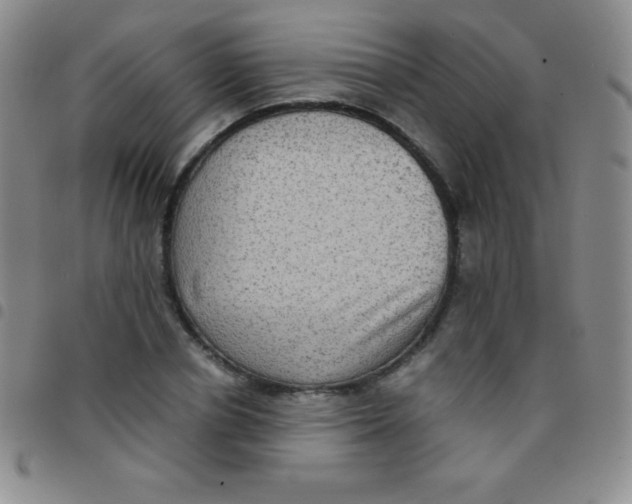 X0000097480834200803141933