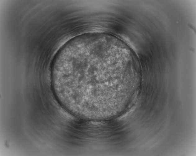 X0000097480835200803141933