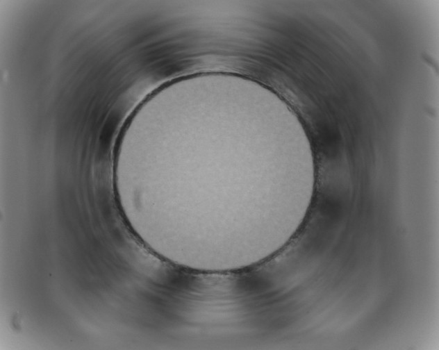 X0000097480836200803141933