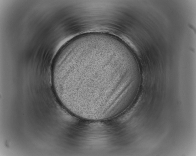 X0000097480838200803141933