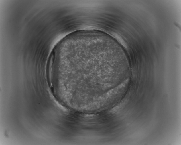 X0000097480839200803141933