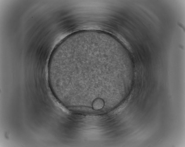 X0000097480840200803141933