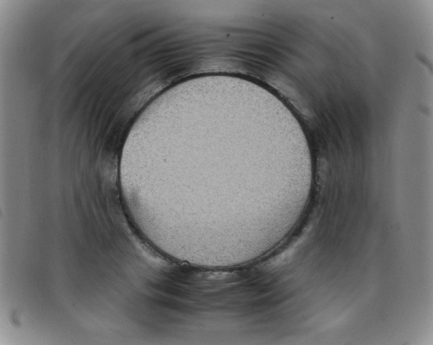 X0000097480841200803141933