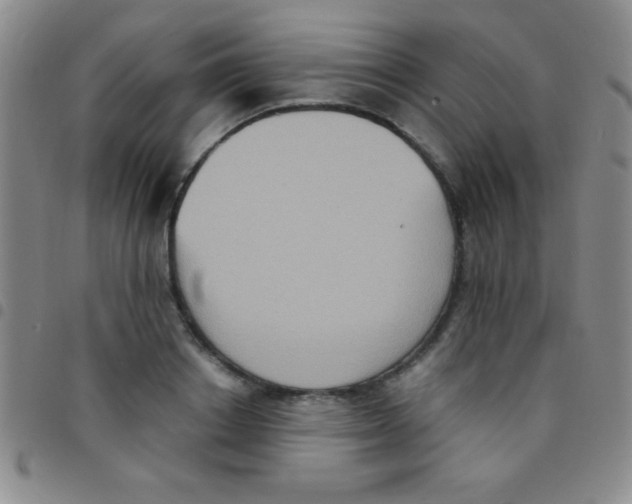 X0000097480842200803141933