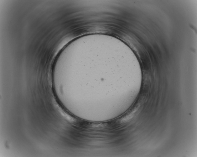 X0000097480843200803141933