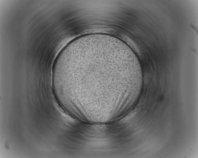 X0000097480844200803141933