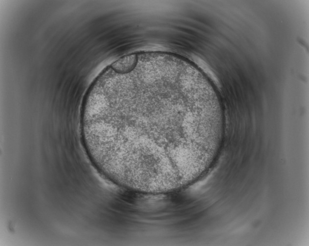 X0000097480845200803141933