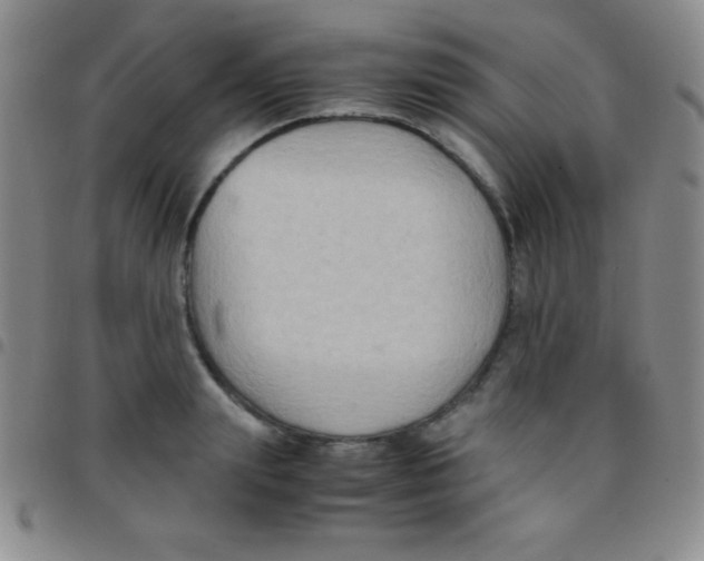 X0000097480847200803141933