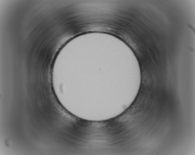 X0000097480848200803141933