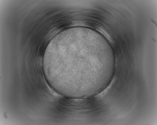 X0000097480849200803141933