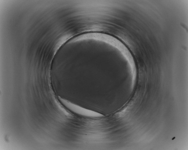 X0000097480850200803141933