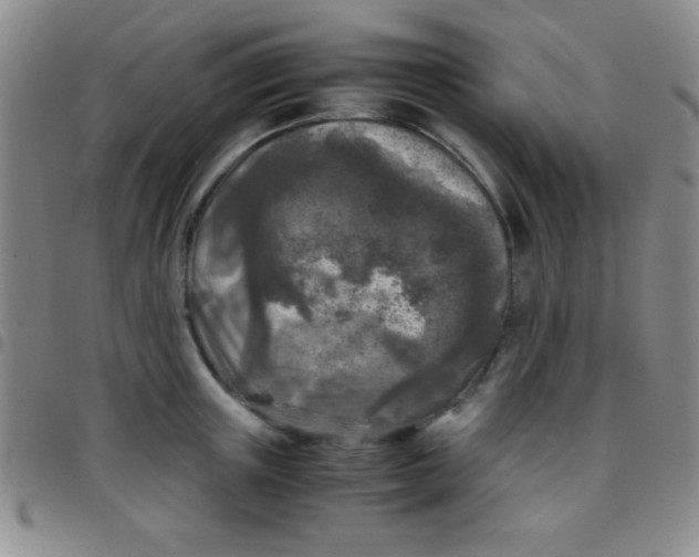 X0000097480851200803141933