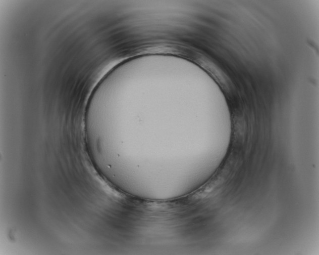 X0000097480852200803141933