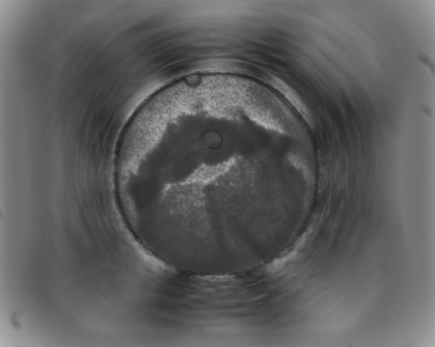 X0000097480853200803141933