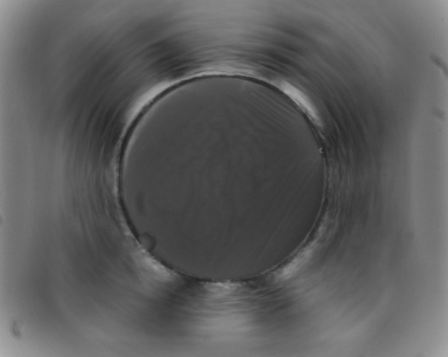 X0000097480854200803141933