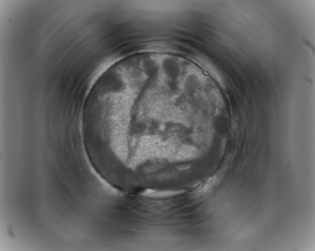 X0000097480855200803141933