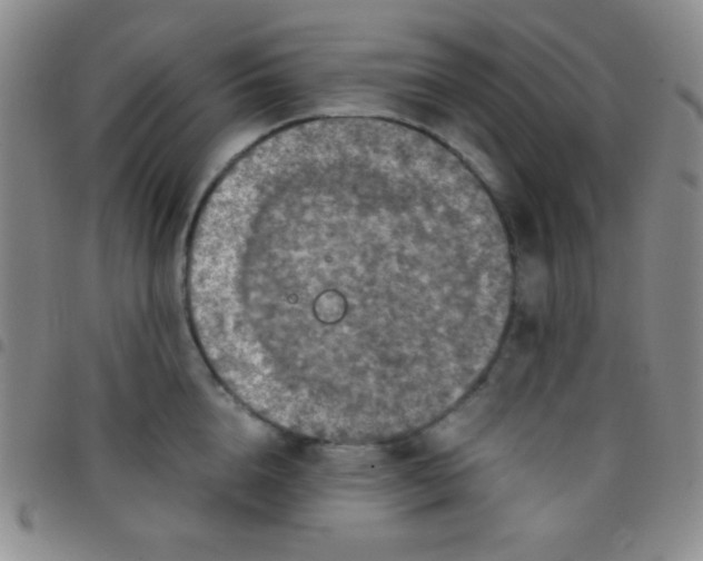 X0000097480856200803141933