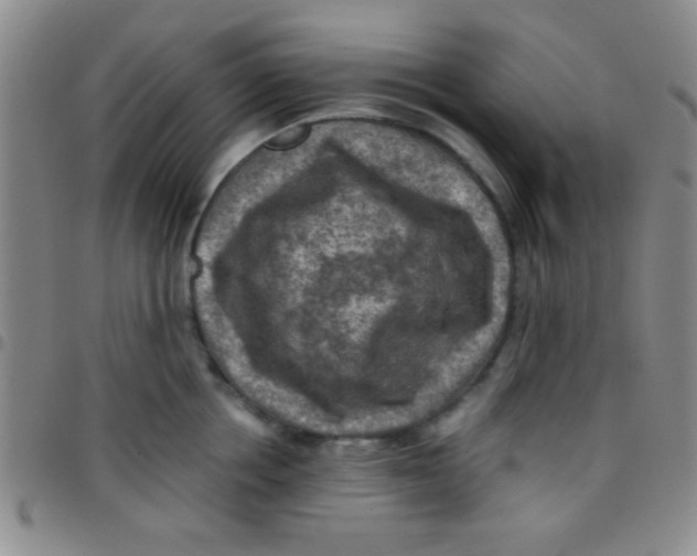 X0000097480858200803141933