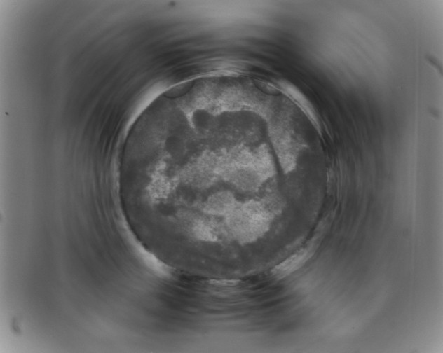 X0000097480859200803141933