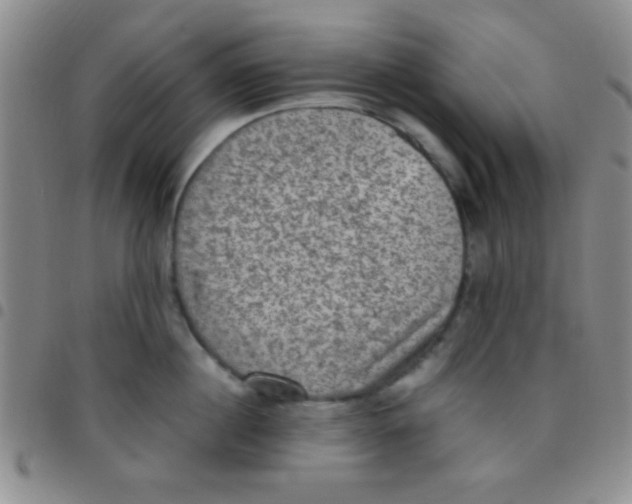 X0000097480860200803141933