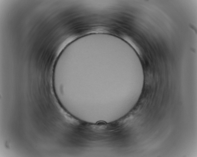 X0000097480861200803141933