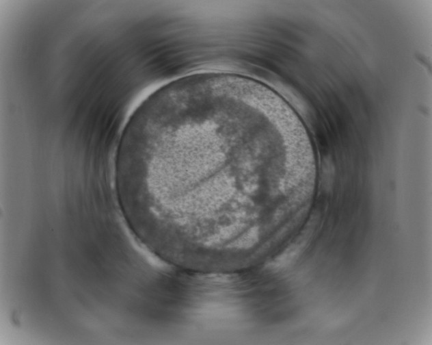 X0000097480862200803141933