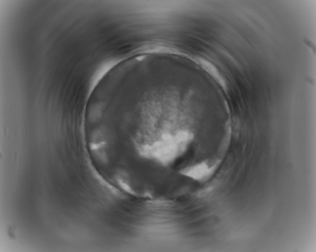 X0000097480863200803141933