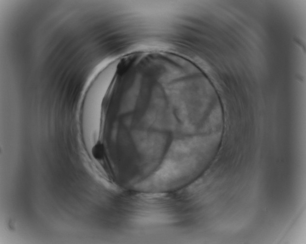 X0000097480864200803141933