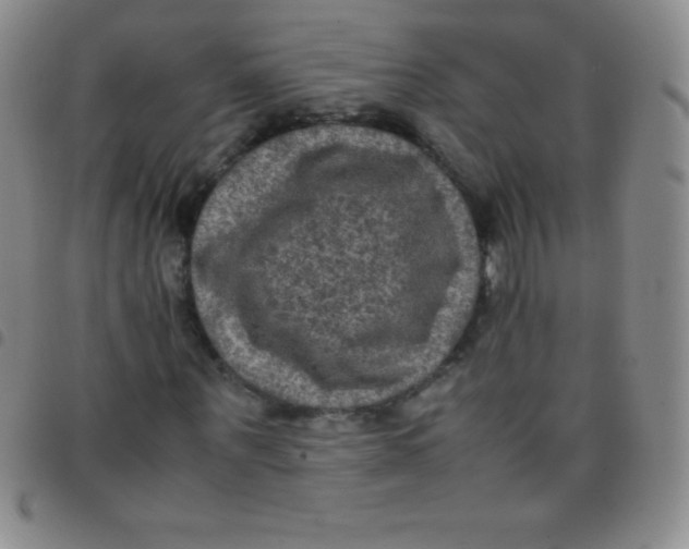 X0000097480867200803141933