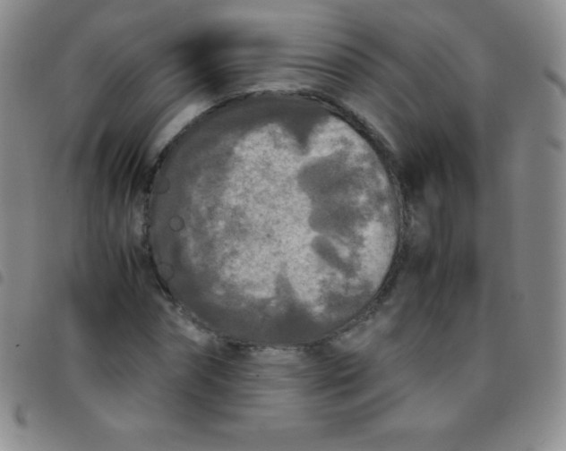 X0000097480874200803141932