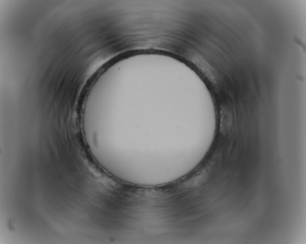 X0000097480876200803141932