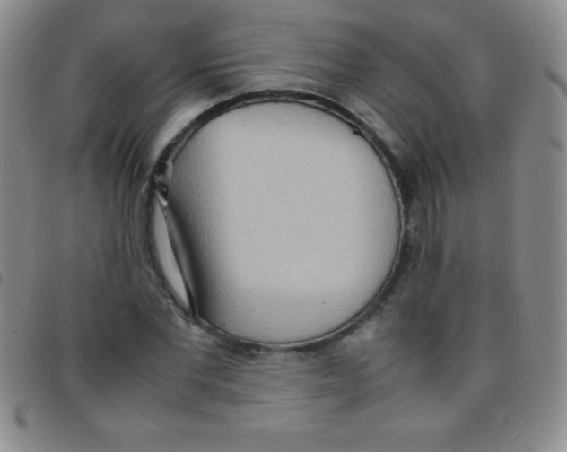 X0000097480877200803141932