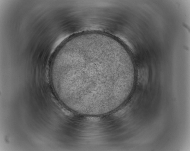 X0000097480878200803141932