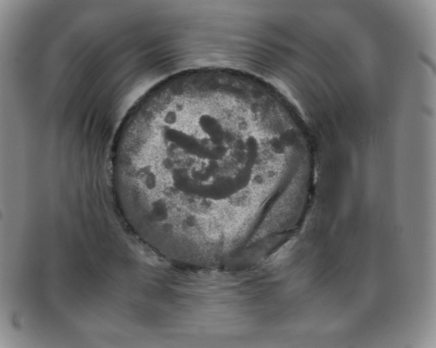 X0000097480879200803141932