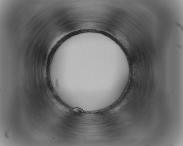 X0000097480880200803141932