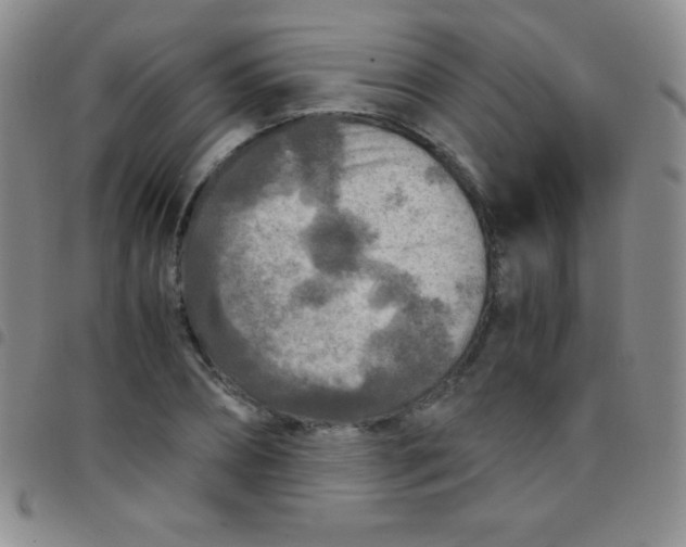 X0000097480882200803141932