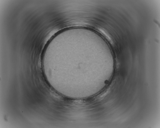 X0000097480883200803141932