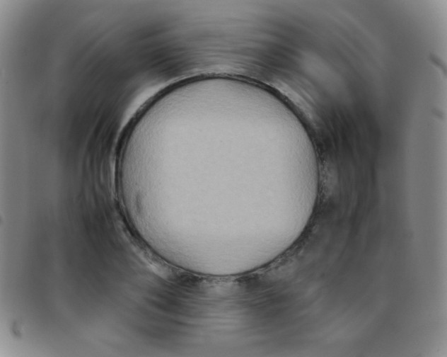 X0000097480886200803141932