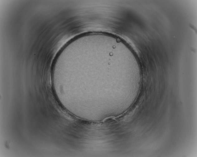 X0000097480887200803141932