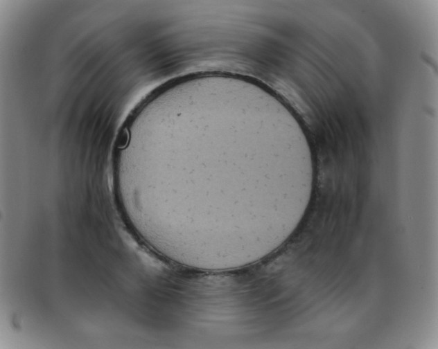 X0000097480888200803141932