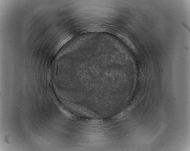 X0000097480889200803141932