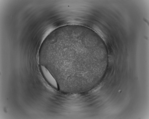 X0000097480891200803141932